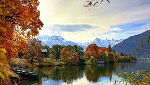 Der Zeller See im Herbst (Bild: Roland Hölzl)