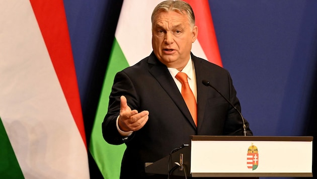 Viktor Orban (Bild: Attila KISBENEDEK / AFP)