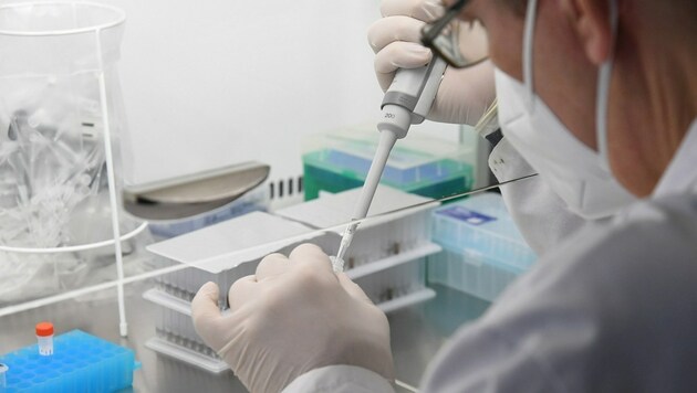 Die Auswertung der PCR-Tests kann derzeit etwas länger dauern. Die Betroffenen werden um Geduld gebeten. (Bild: P. Huber)