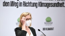 Klimaschutzministerin Leonore Gewessler (Grüne) (Bild: APA/ROBERT JAEGER)
