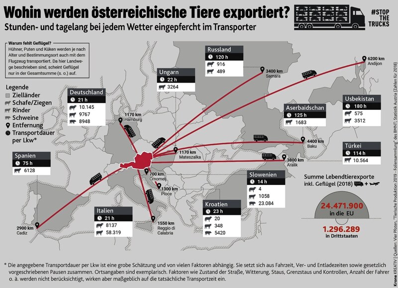 (Bild: Krone Kreativ, Quelle: Vier Pfoten)