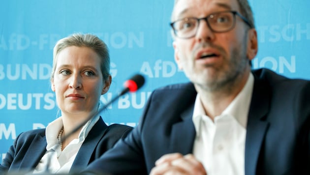Alice Weidel (l), Fraktionsvorsitzende der AfD, und FPÖ-Chef Herbert Kickl bei einer gemeinsamen Pressekonferenz im Jänner 2020 (Bild: APA/dpa/Carsten Koall)