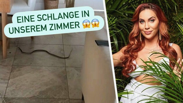 (Bild: Instagram, RTL, Krone KREATIV)