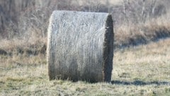 Bei der Heuernte kam es zum Unfall.