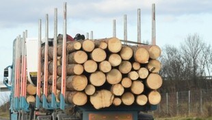Ein mit Holzstämmen beladener Lkw kippte in St. Peter ob Judenburg um. (Symbolbild)