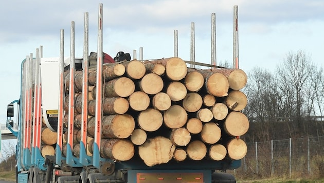 Ein mit Holzstämmen beladener Lkw kippte in St. Peter ob Judenburg um. (Symbolbild)