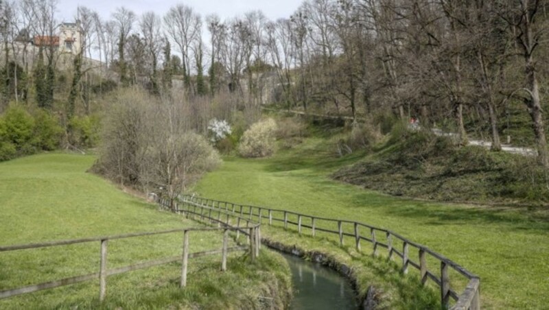 Am Krauthügel ist die Einrichtung der Baustelle geplant. (Bild: Tschepp Markus)