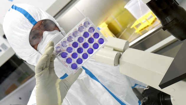 In der Laborstudie wirkte der Valneva-Impfstoff auch gegen die neue Virusvariante. (Bild: APA/AFP/JEAN-FRANCOIS MONIER)