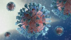 3D-Darstellung eines Coronavirus (Bild: Naeblys - stock.adobe.com)