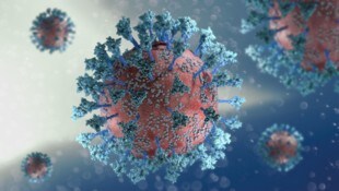 3D-Darstellung eines Coronavirus