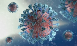 3D-Darstellung eines Coronavirus