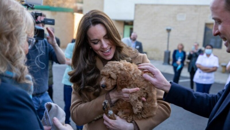 Herzogin Kate war von dem zuckersüßen Therapiehund „Alfie“ mehr als angetan. (Bild: AFP)