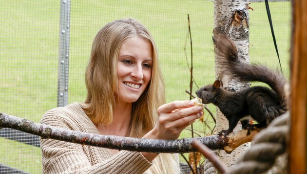 Carmen Haslinger betreibt die Eichhörnchen-Hilfe in Großgmain. (Bild: Tschepp Markus)