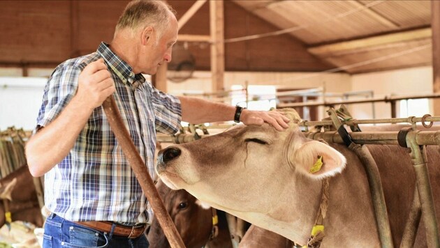 Glückliche Kühe bringen mehr EU-Prämien und machen auch den Landwirt froh. (Bild: Berglandmilch)
