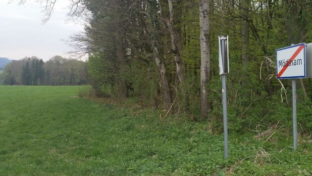 Hier, in dieser Wiese im Seekirchner Ortsteil Mödlham, passierte der Unfall (Bild: Grill Max/Kronenzeitung)