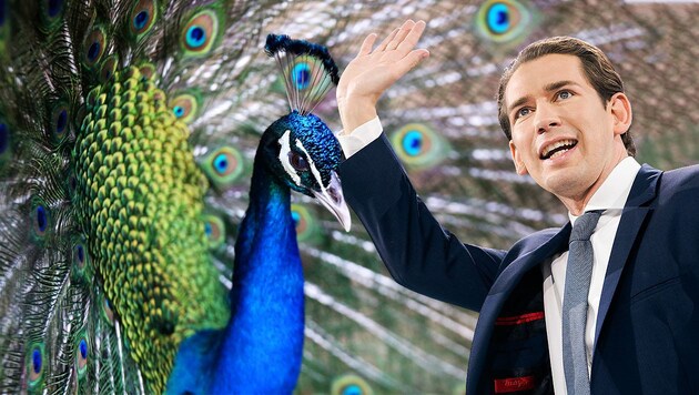 Unter anderem wurde untersucht, welche Tiere und Automarken mit Politikern und Parteien - darunter auch Ex-Kanzler Sebastian Kurz - assoziiert werden. (Bild: Krone KREATIV, APA/Georg Hochmuth, AFP)