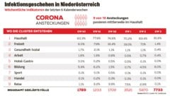 (Bild: Krone KREATIV | Quelle: NÖ-Sanitätsstab)