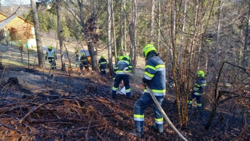 Die FF Stiwoll musste einen Brand löschen, der durch eine gerissene Stromleitung entstand. (Bild: FF Stiwoll/Günter Kriegl)