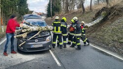 Auf der B30 bei Tiefenbach fiel ein Baum auf die Motorhaube eines fahrenden Autos, das dabei schwerbeschädigt wurde. (Bild: APA/FF KAUTZEN)