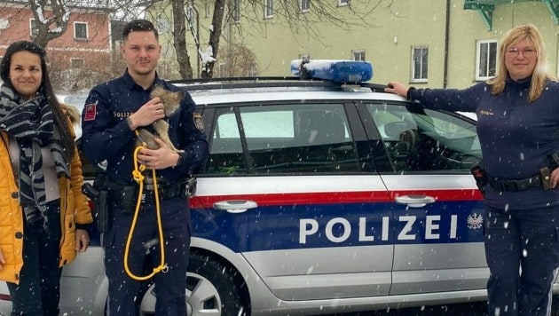 Engagement Mit Herz - Süßes Hundebaby Löste Hilfswelle Bei Polizei Aus 