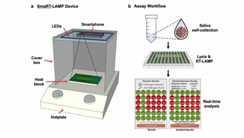 Für die Auswertung des Bacticount-Tests braucht man eine Wärmeplatte, ein Kit mit einer Testlösung und die Smartphone-Kamera. (Bild: University of California, Santa Barbra)