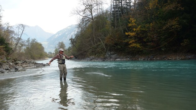 Sie haben das gleiche Interesse: Fisch! Und so sind Otter und Fischer keine Freunde... (Bild: Thomas Leitner)