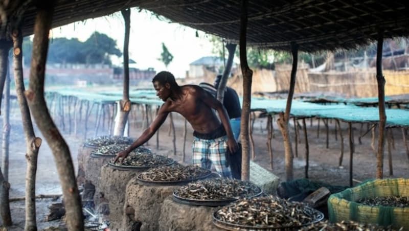 Der Bedarf an Nahrungsmitteln ist mittlerweile kaum noch zu decken - Fisch wird knapp. (Bild: AFP)