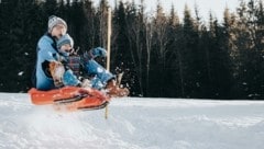 Rutschpartien auf der längsten Rodelbahn in NÖ am Semmering oder im Raxgebiet garantieren Spaß an frischer Luft. Tierische Wanderungen warten im Wald- und Mostviertel. (Bild: G. Demolsky)