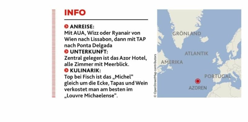 (Bild: Kronen Zeitung)