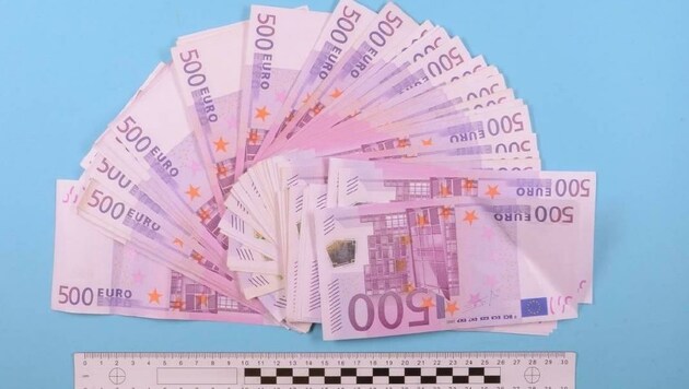 Eine große Menge Bargeld hatte die verdächtige Polin (27) in der Unterwäsche versteckt. (Bild: LPD NÖ/LKA)