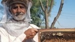 Con las colmenas, los pequeños agricultores se benefician de un mayor rendimiento de los cultivos sin el uso de pesticidas tóxicos y, al mismo tiempo, pueden vender miel y otros productos apícolas.  Después de la capacitación, los futuros apicultores reciben sus colmenas y el equipo necesario.  (Imagen: Cáritas)