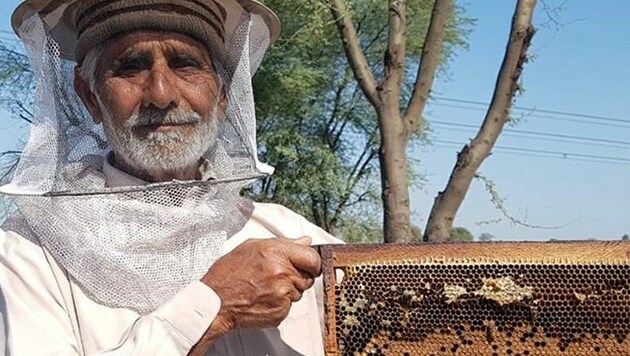Mit Bienenstöcken profitieren Kleinbauern von einem höheren Ernteertrag ohne Einsatz giftiger Pestizide und können gleichzeitig Honig und andere Bienenprodukte verkaufen. Nach der Schulung erhalten die angehenden Imker ihre Bienenstöcke sowie die dazu erforderliche Ausrüstung. (Bild: Caritas)