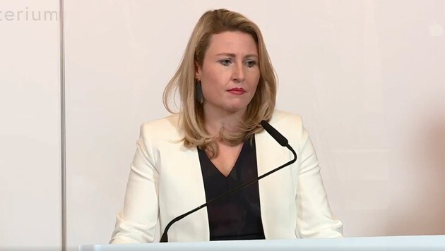 Familienministerin Susanne Raab (ÖVP) (Bild: APA (Screenshot))