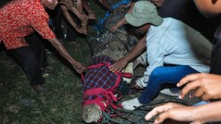 Anwohner befreien ein Krokodil von einem Reifen, der ihm fünf Jahre lang um den Hals hing, bevor sie es in einen Fluss in Palu, Zentralsulawesi, entlassen. (Bild: APA/AFP/MUHAMMAD RIFKI)