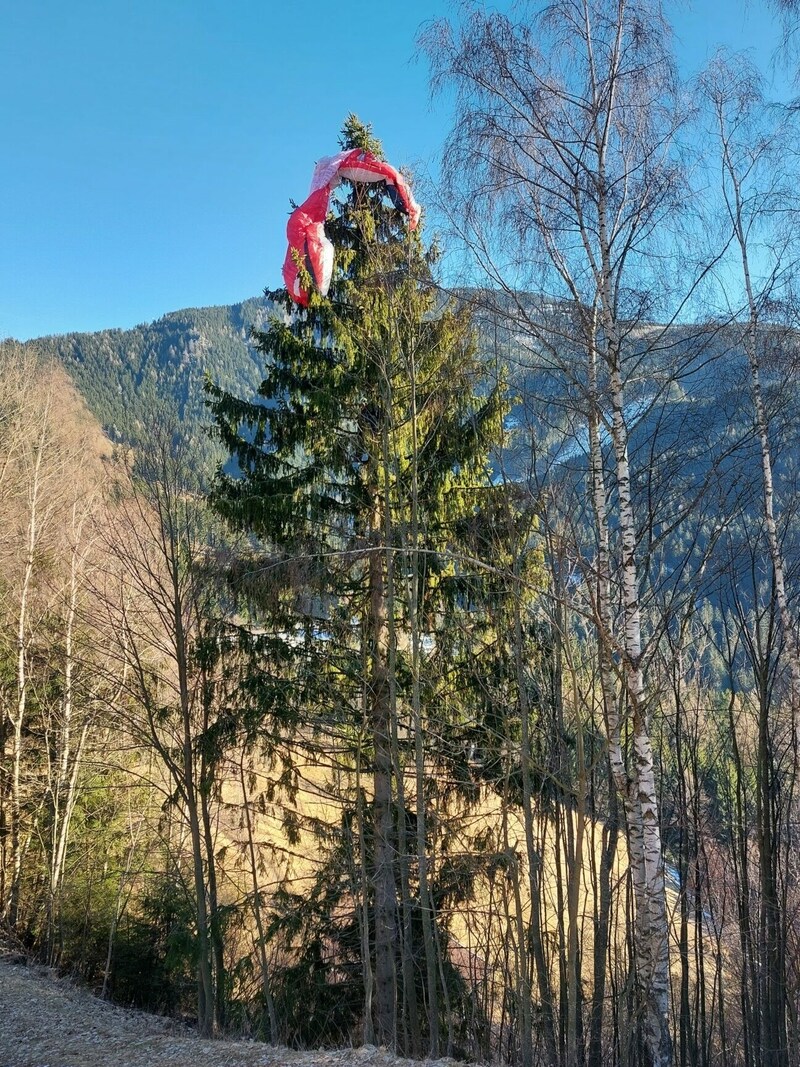 Hier stürzte der Paragleiter ab. (Bild: Georg Bachhiesl)