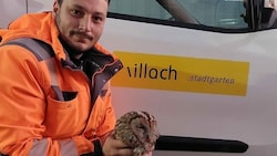 Manuel Nowak und der schwerverletzte „Otto“ (Bild: zVg/ Stadt Villach)