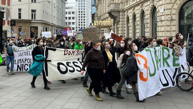 Hunderte Teilnehmer zogen am Freitag durch die Grazer Innenstadt und demonstrierten für einen Sinneswandel in der Klimapolitik. (Bild: Marcus Stoimaier)