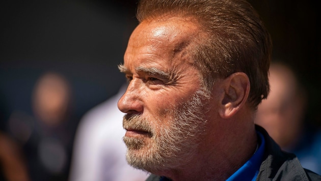 Hollywood-Star Arnold Schwarzenegger (Bild: AP)