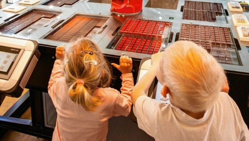 Schokoladen-Fabrik Zotter (Bild: (c) Jacqueline Jud / Zotter Schokoladen Manufaktur)