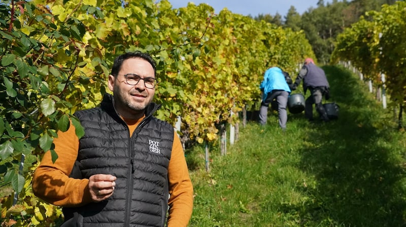 Winemaker Stefan Potzinger: "A lot can still happen in the next few weeks." (Bild: Pail Sepp)