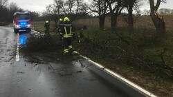 Sturmeinsätze im niederösterreichischen Bezirk Amstetten (Bild: APA/BFKDO Amstetten)