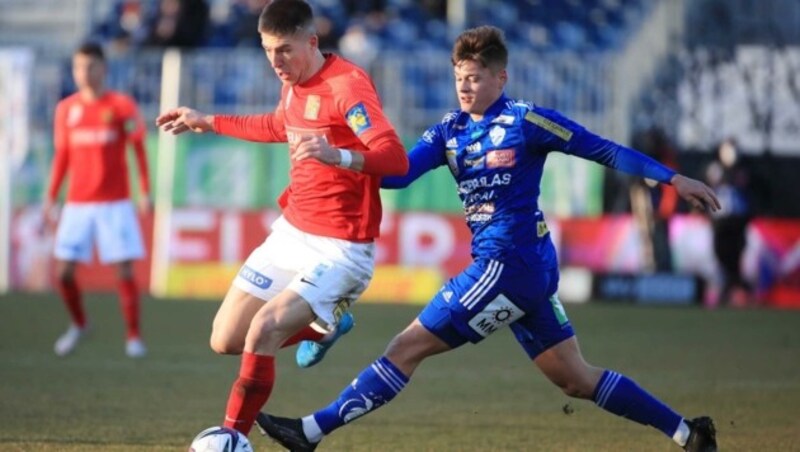 Leonardo Lukacevic (li. gegen Hartbergs Lemmerer) gilt als eine der heißesten Admira-Aktien. (Bild: GEPA pictures/ Mario Buehner)