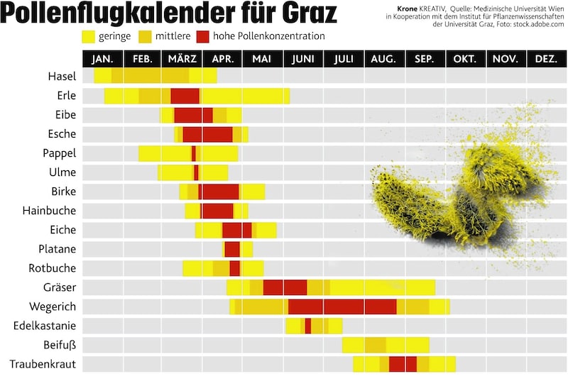 (Bild: Krone Kreativ )