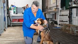 Johann Gredler arbeitet seit vielen Jahren bei der Wasenmeisterei. Er betreute auch Findelhund „Charlie“, der im Tierheim untergebracht wurde. Mittlerweile hat der Vierbeiner ein neues Zuhause. (Bild: IKM/W. Giuliani)