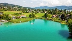 Naturjuwel Buberlemoos (Bild: Die Grünen/Smartlake media)