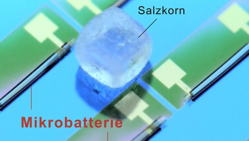 Größenvergleich: Der Mikro-Akku ist kleiner als ein Salzkorn. (Bild: TU Chemnitz/Leibniz IFW Dresden)