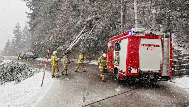 Feuerwehr beim Aufräumen am Hainzenberg im Zillertal (Bild: ZOOM.TIROL)