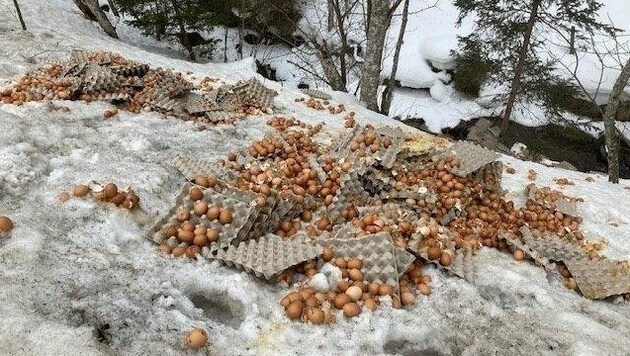 Der ganze Straßengraben war voller Eier. (Bild: PI Friesach)