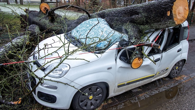 Dieses Auto wurde in Ostdeutschland Opfer des Sturms. (Bild: APA/dpa-Zentralbild/Jens Büttner)
