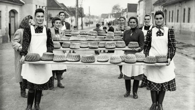 Eines der Bilder: Frauen mit 150 Stück Gugelhupf für Hochzeit in Mörbisch um 1950. (Bild: Gustav Hajek / Bgld. Landesarchiv)